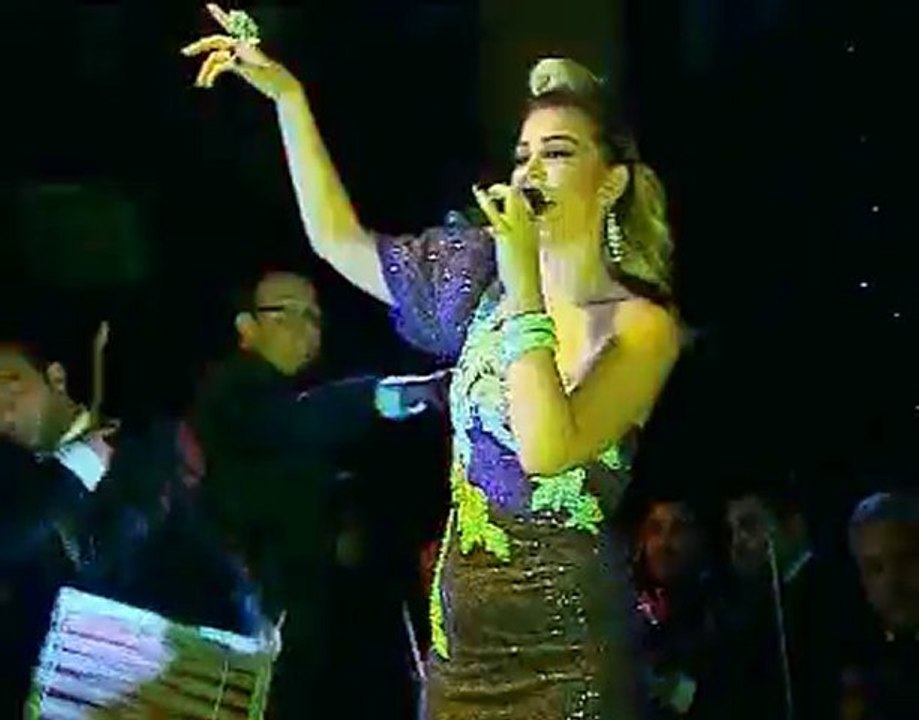 zerrin_ozer_tanitim