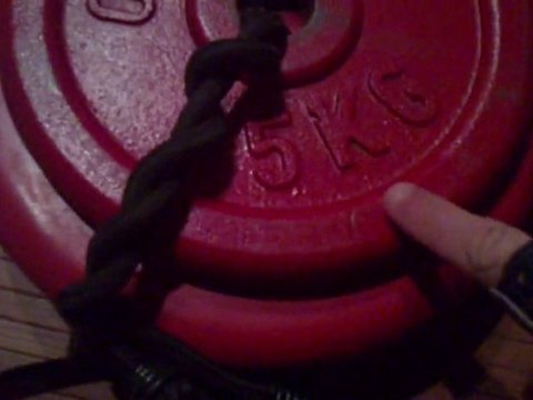 6 dips 50 kg lest - 68 kg pdc