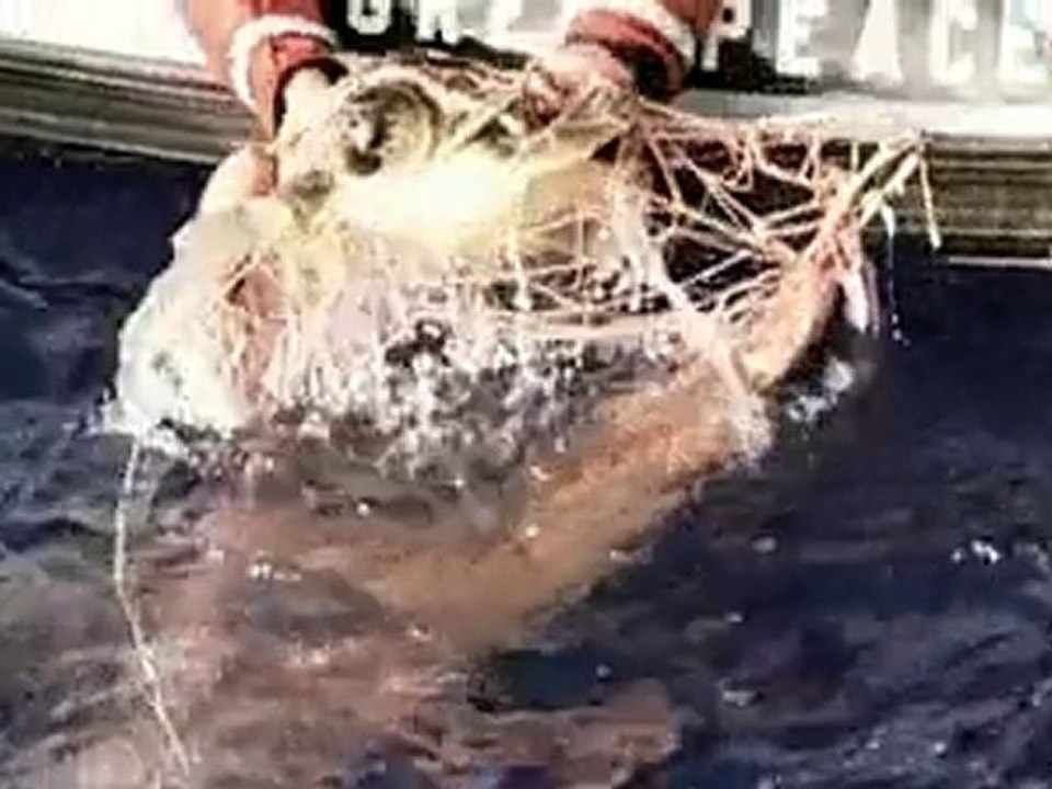 greenpeace3