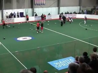 La crosse Bagarre générale