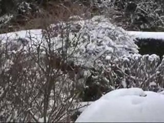 Noël 2010 en Thiérache