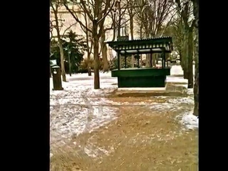 White Christmas Eve 2010, Paris