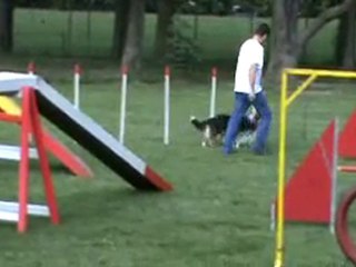 entrainement agility