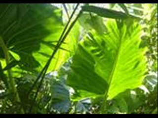 Mario Chico titre Pour la première fois ZOUK LOVE