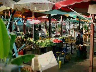 Perfecta - Paulo Albin - Zanfan Kreol  2010.2011