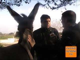 Presepe vivente a Noha di Galatina @ Masseria Colabaldi