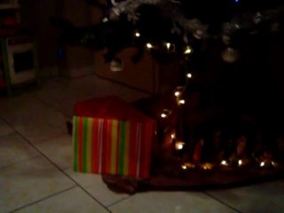 Cadeau de Noêl de Flo