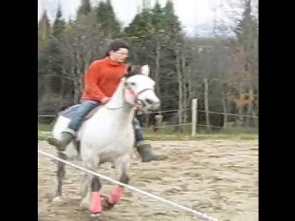 Dapple partie 1_0001