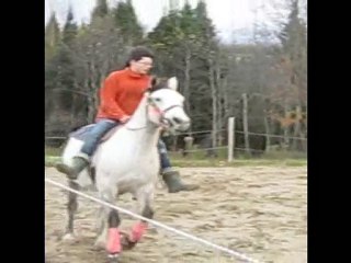 Dapple partie 1_0001