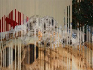 Les bébés de Lovelly 24 12 2010