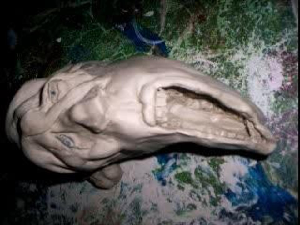 lyo sculp