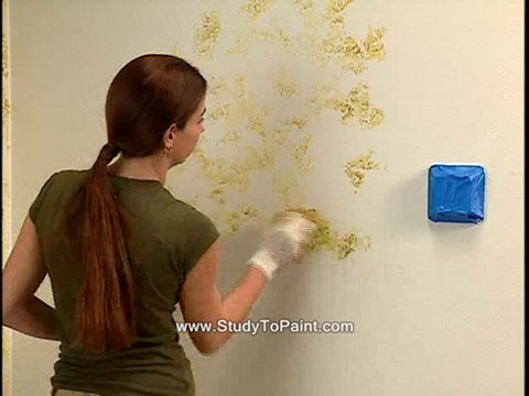 painting lessons dvd tutorial