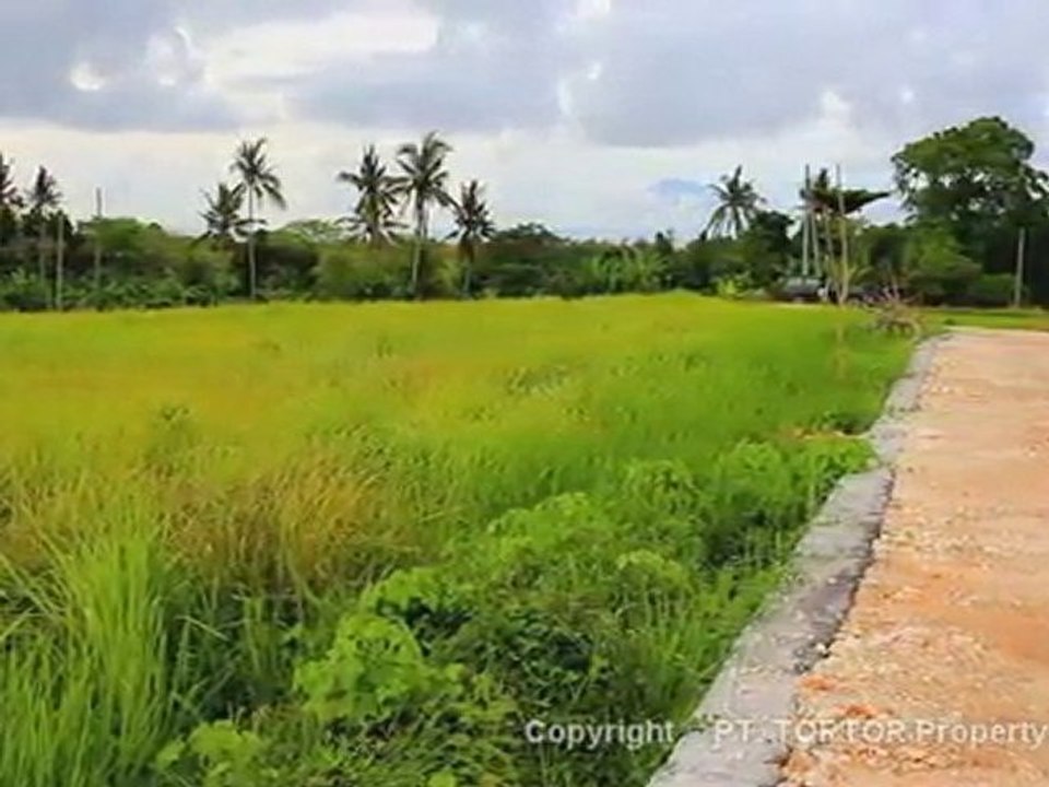 Bali ocean view land for sale 2450m2 Cemagi beach ...