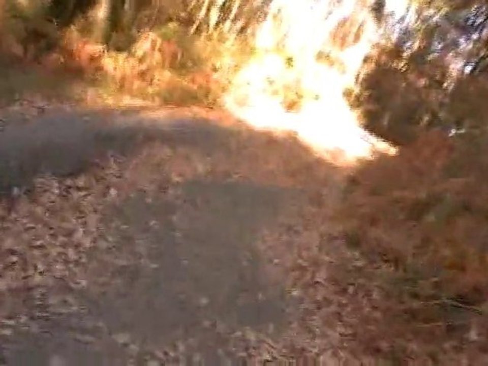 Camino de Santiago 2010. Sarria - Santiago de Compostela