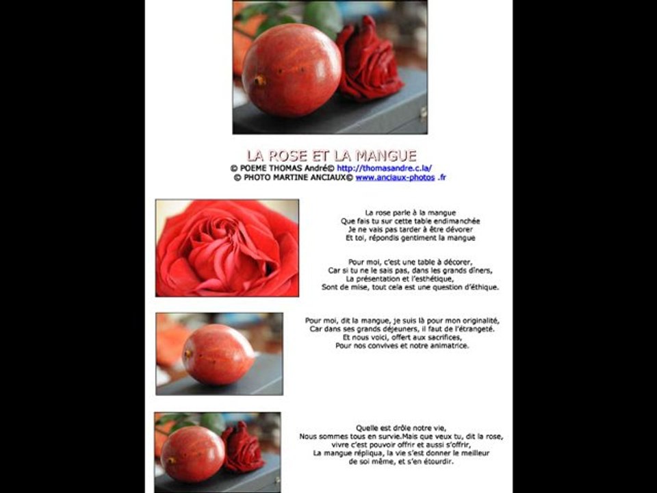 JOYEUX NOEL A TOUS - ©LA ROSE ET LA MANGUE © PHOTO POEME ANC
