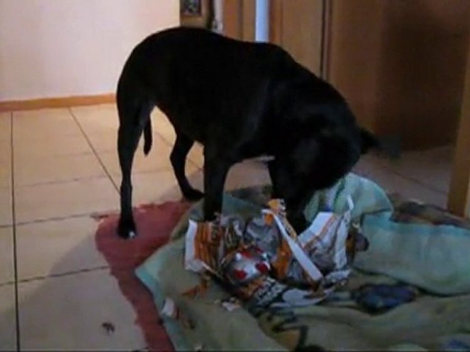 Sina Weihnachten 2010