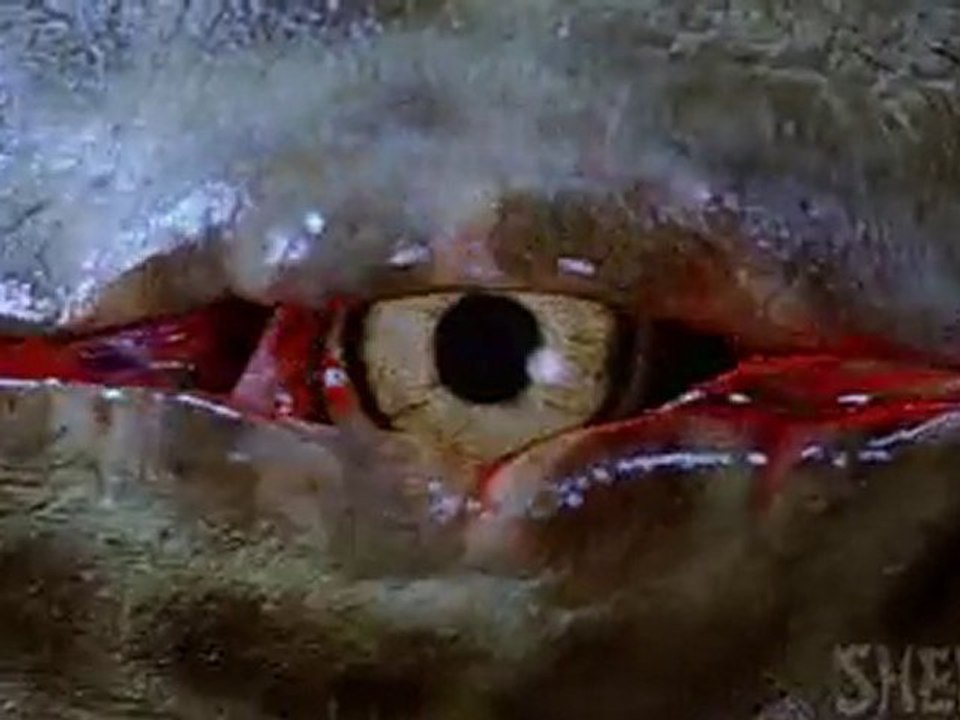 Hisss - DVDRip - 2