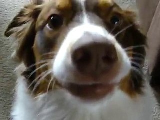 Gorda's akward moment