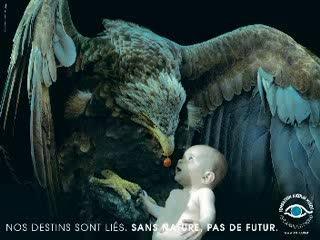 sauvons la terre