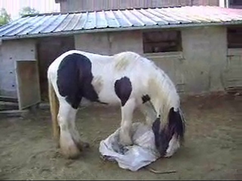 upstarbache