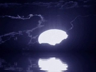 Turan Şengül  Nizanim