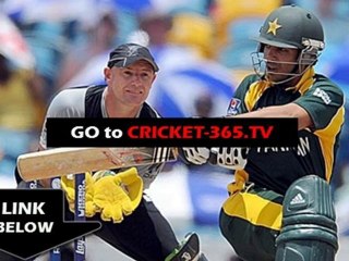 Pakistan vs New Zealand 1st T20 live streaming 2010 Auckland