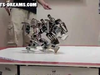 ROBO-ONE Lightweight Robot Competition Final