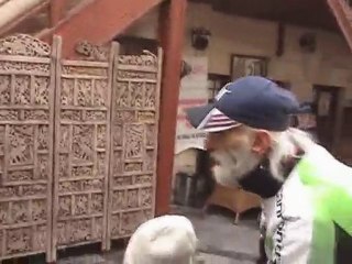 Engelsiz seyir defteri hazine