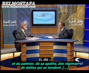 [Ep.4] LES PALMIERS ET LES DATTES Part.1/2