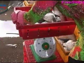 Film5vn_Hello_7 (LN)_chunk_3