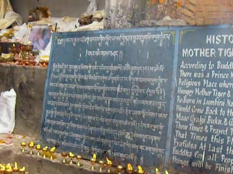 tigerDen