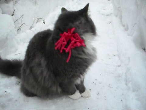 Flilm på Revis Annandagjul - 10.Med julmusik.