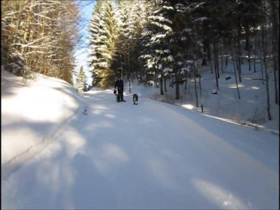 Givrine 26.12.2010