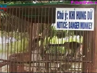 Film5vn_Hello_7 (LN)_chunk_5