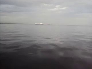 TEKİRDAĞLI ÇILGIN YUNUSLAR TEKNE İLE YARIŞTA :):)