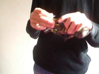 falconer predator de neca