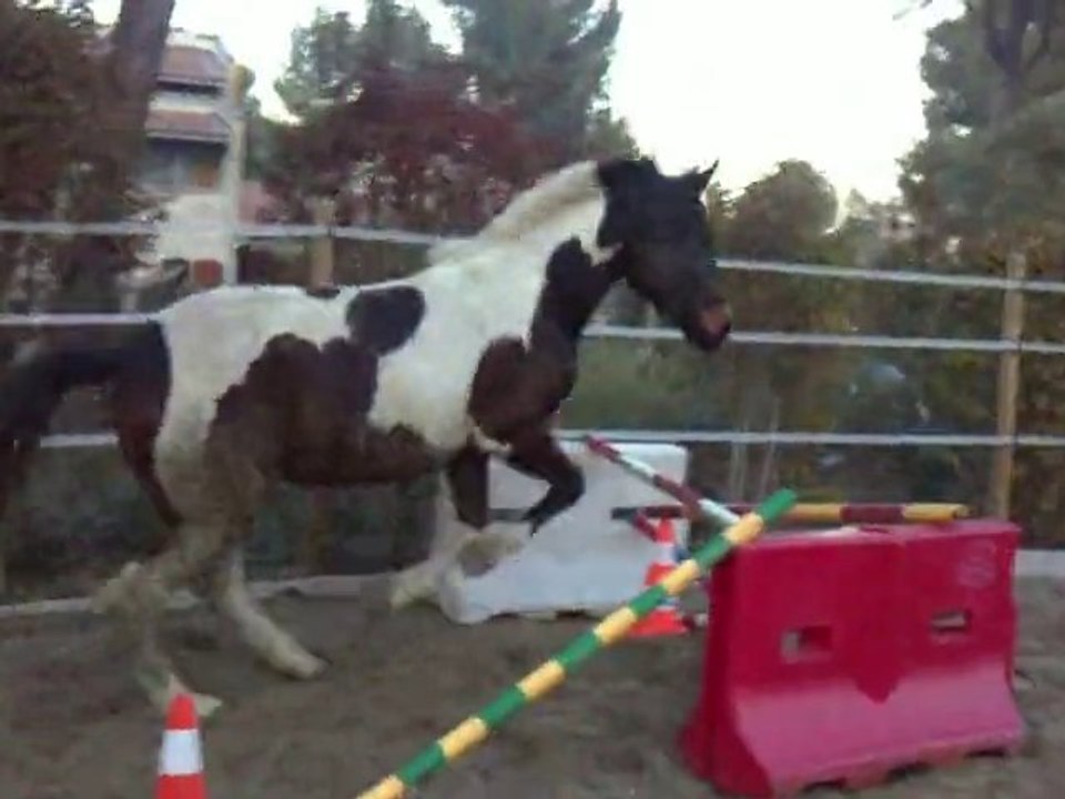 Velvet 18 mois petite croix