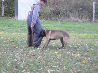 Elboy de la vallée du grand loup