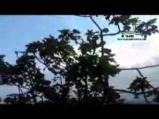 منظر من منطقة جبلية