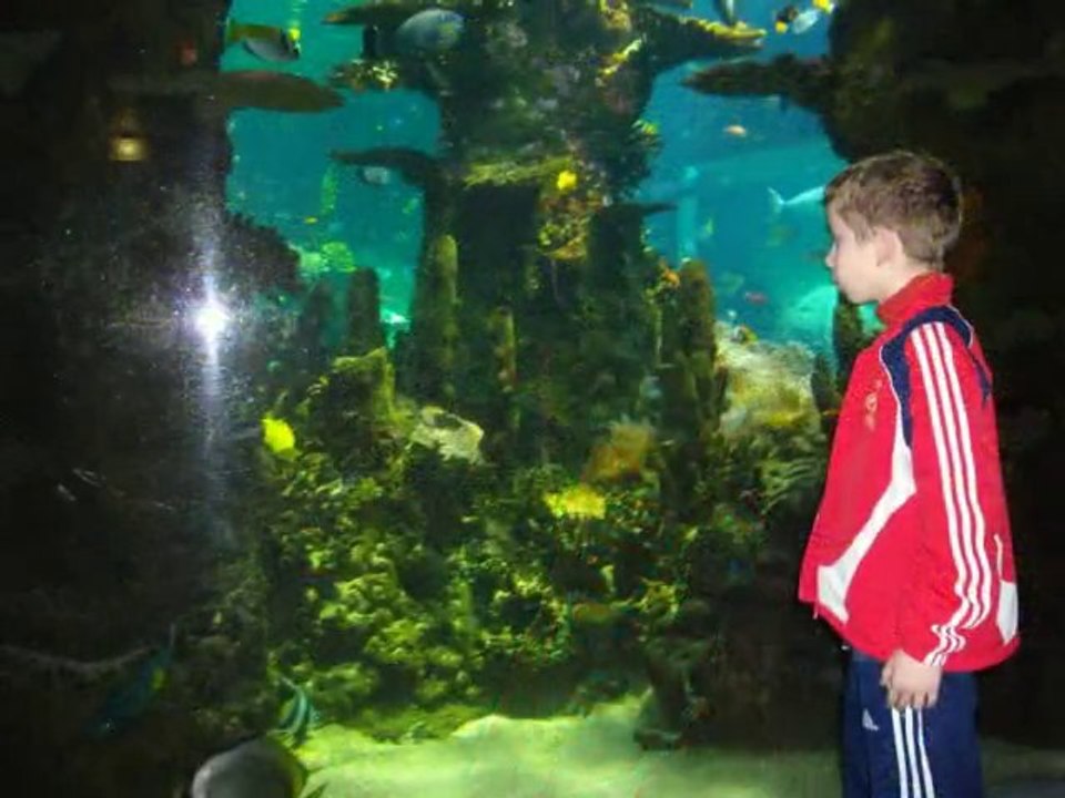Promenade hivernal à Nausicaa