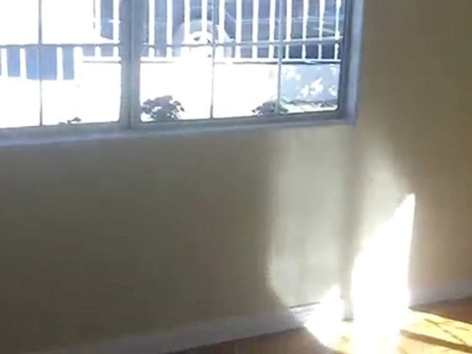 Linnet St San Diego home for sale