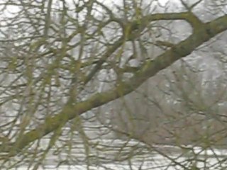Que la campagne est neigeuse, mouillée, froide... !