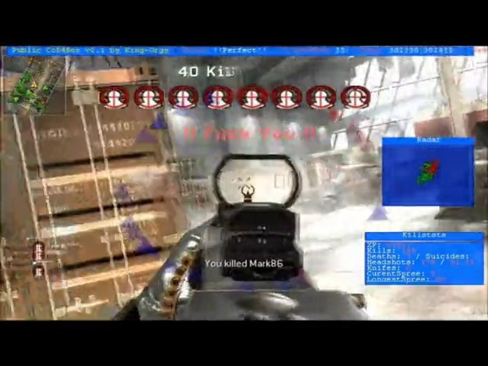 Cheat Cod4 Aimbot Wallhack 2010 ^^Lien^^