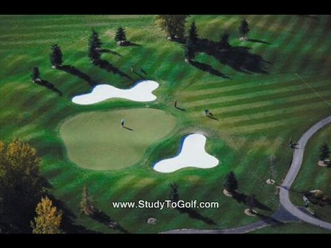 golf swing lessons online