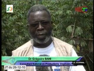 Mission de travail de Congo-San dans la Sangha