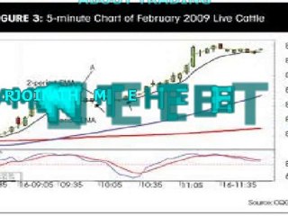 What Do You Want to Know About Online Trading?