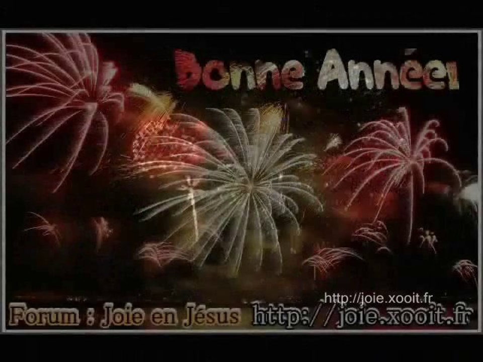 JOYEUSE ANNEE 2011