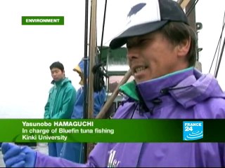 Japan starts farming bluefin tuna