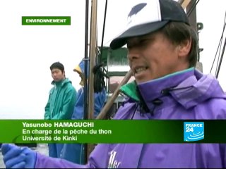 Le Japon défend son thon rouge