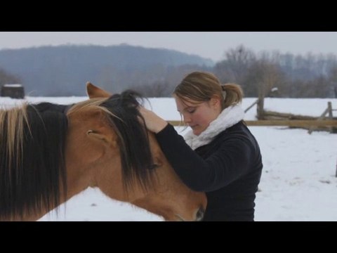 SUN - Extrait séance Ethologie 26 décembre 2010